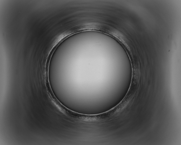 X0000085040890200703051348