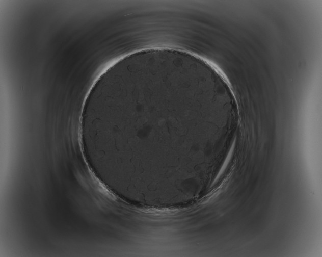 X0000085040895200703051348