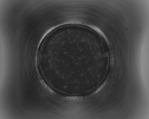 X0000085040896200703051348