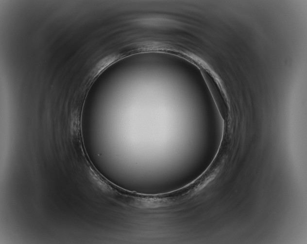 X0000085040897200703051348