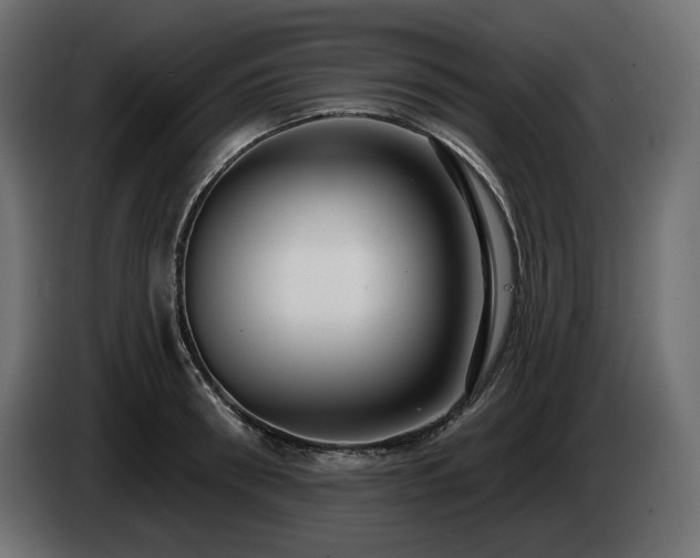 X0000085040898200703051348