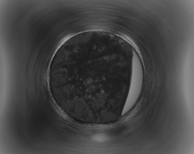X0000085040899200703051348