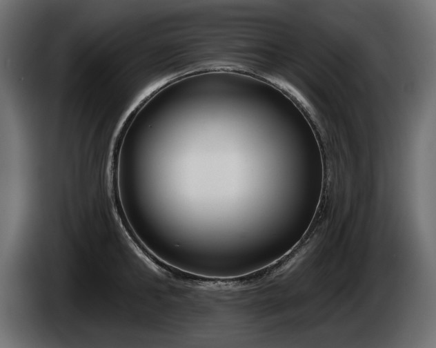 X0000085040902200703051348
