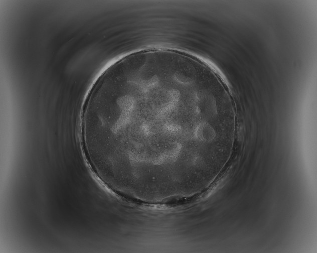 X0000085040903200703051348