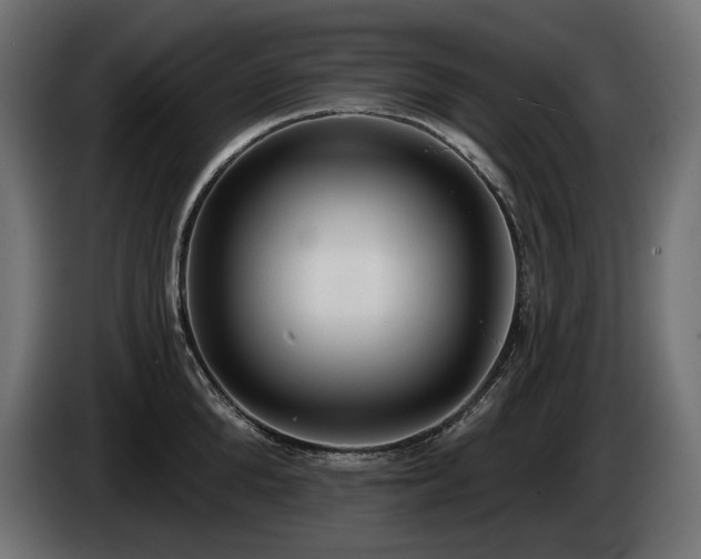 X0000085040904200703051348