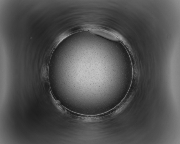 X0000085040905200703051348