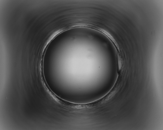 X0000085040906200703051348