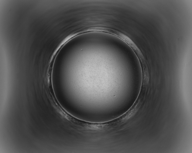 X0000085040908200703051348