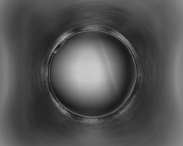 X0000085040909200703051348
