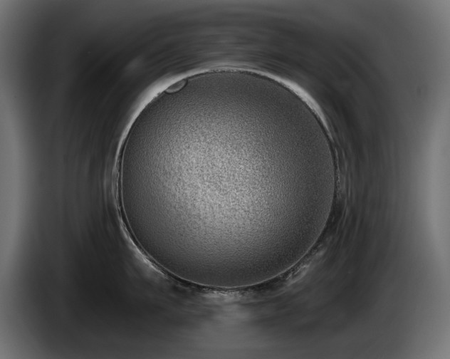 X0000085040911200703051348