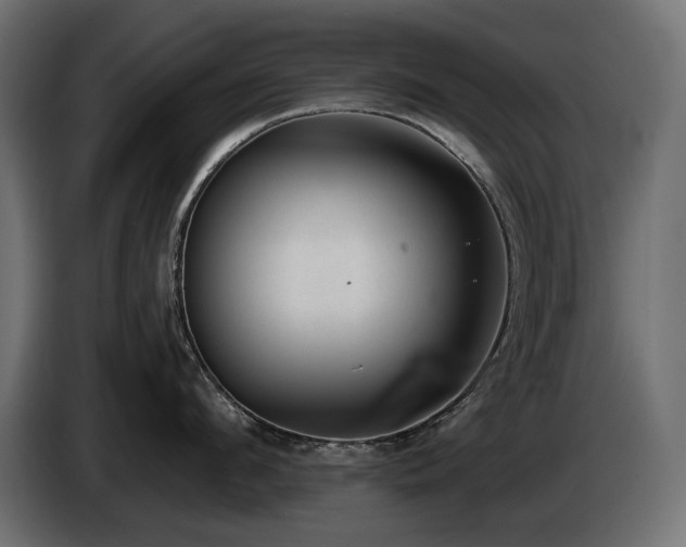 X0000085040912200703051348