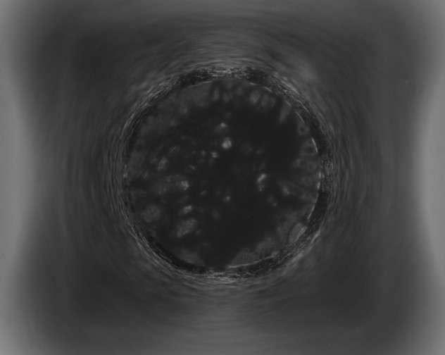 X0000085040913200703051347