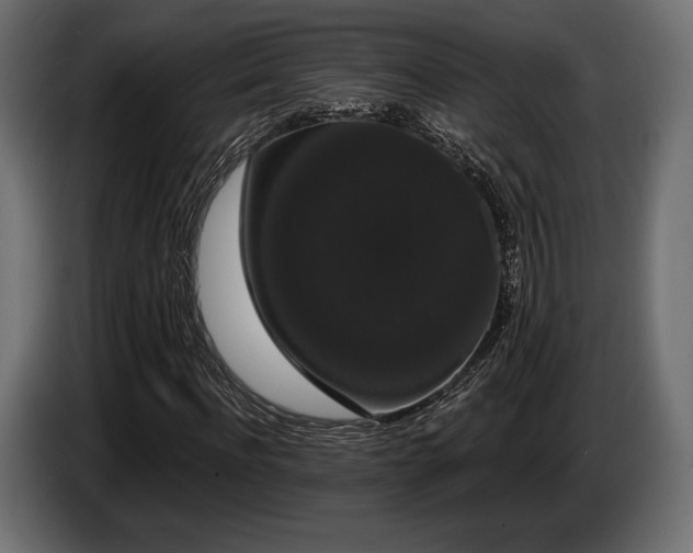 X0000085040916200703051348