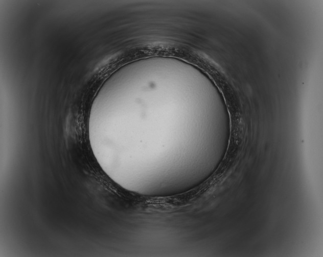X0000085040918200703051348