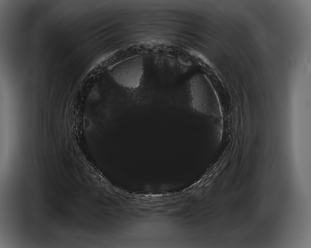 X0000085040919200703051348