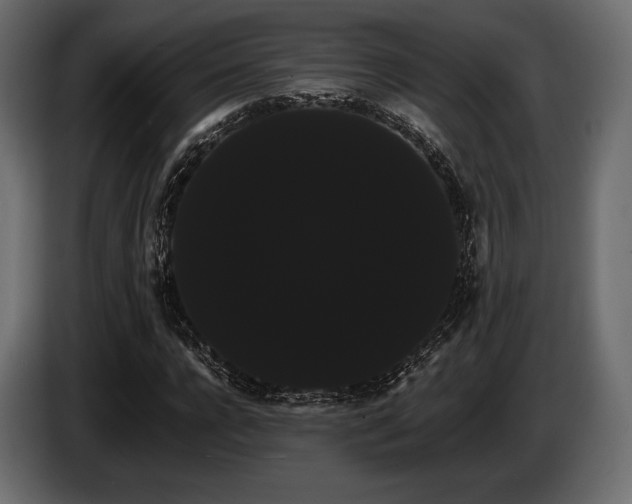 X0000085040920200703051348