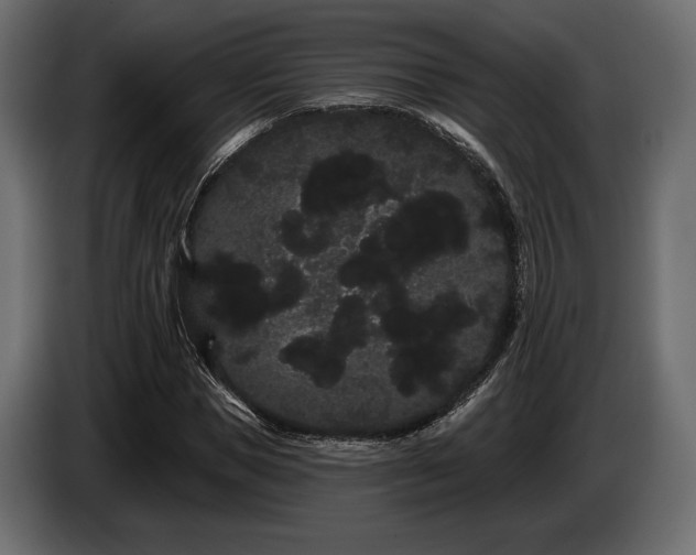X0000085040921200703051348