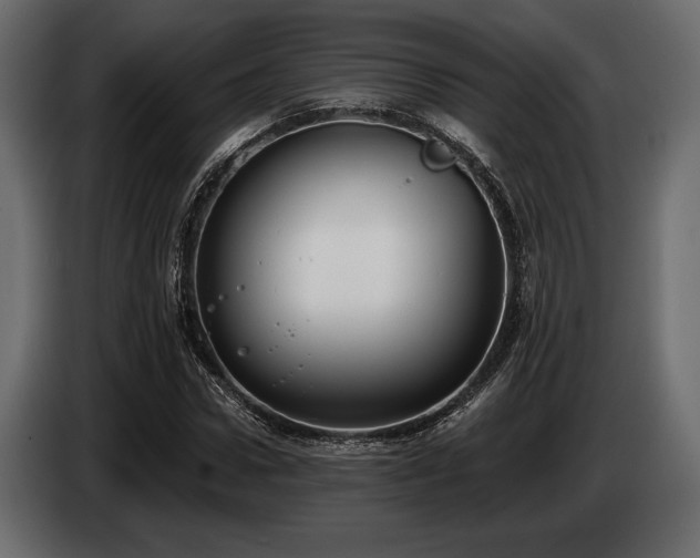 X0000085040922200703051348