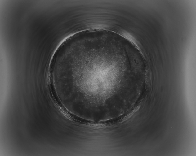 X0000085040924200703051348