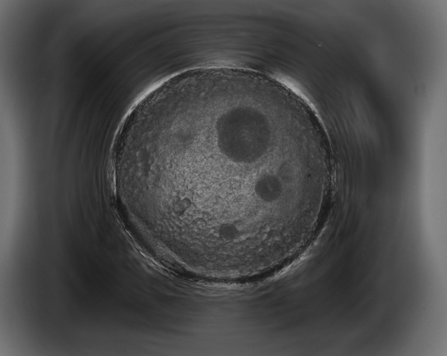 X0000085040925200703051348