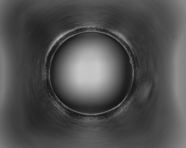 X0000085040927200703051348