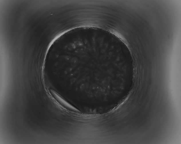 X0000085040928200703051348