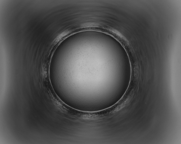 X0000085040929200703051348