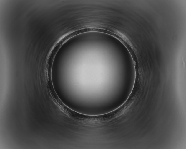 X0000085040931200703051348