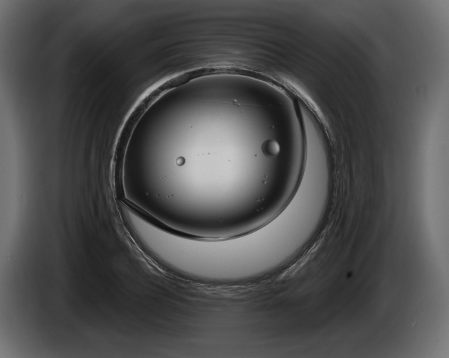 X0000085040932200703051348