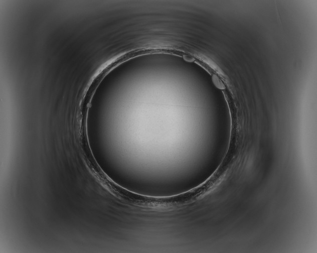 X0000085040933200703051348