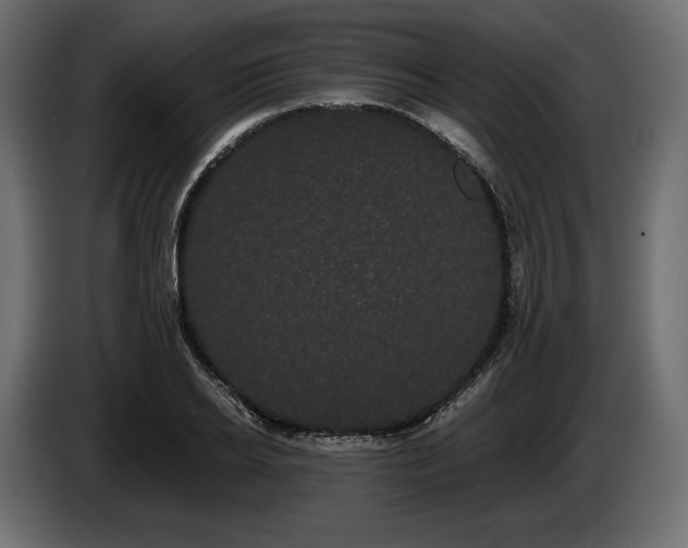 X0000085040934200703051348