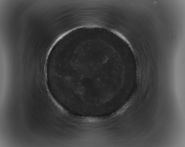 X0000085040935200703051348