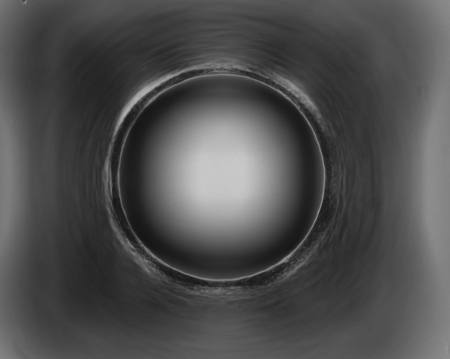 X0000085040936200703051348