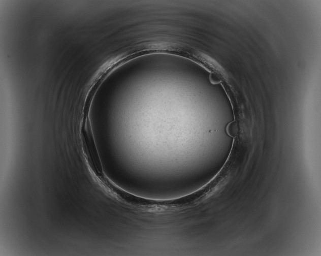 X0000085040938200703051348