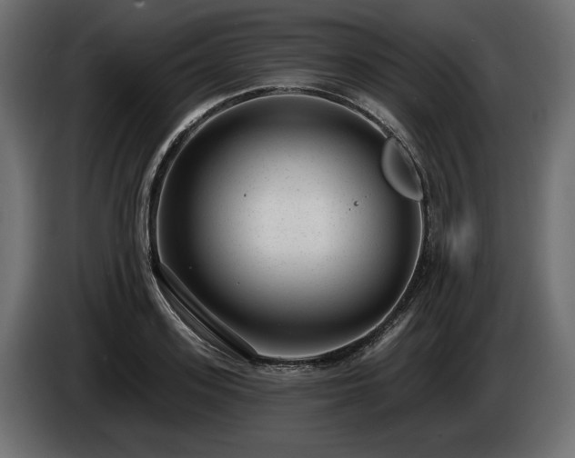 X0000085040939200703051348