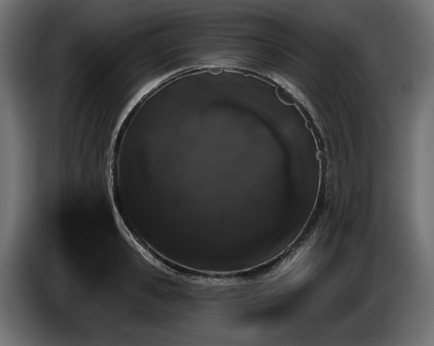 X0000085040941200703051348