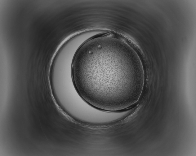 X0000085040942200703051348