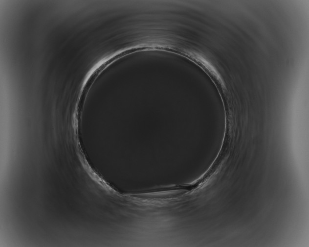 X0000085040944200703051348