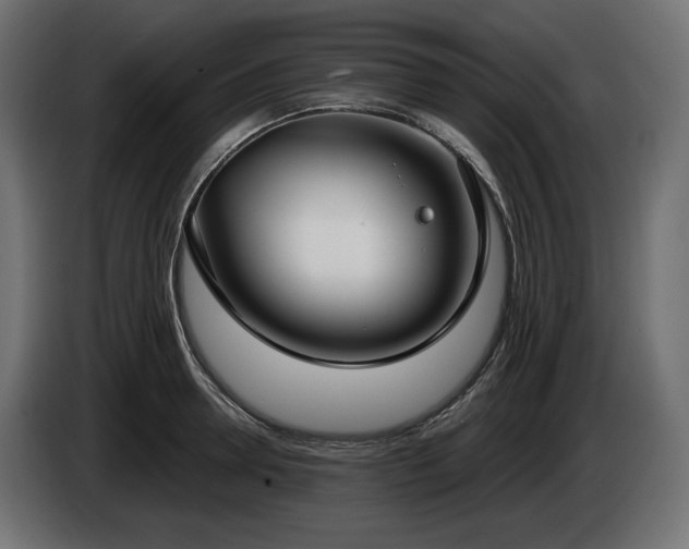 X0000085040946200703051348