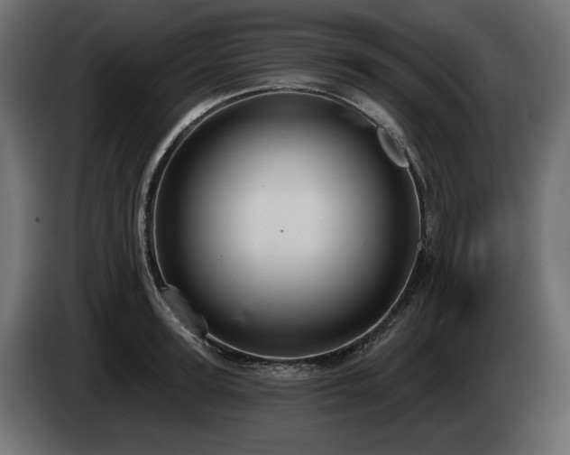 X0000085040947200703051348