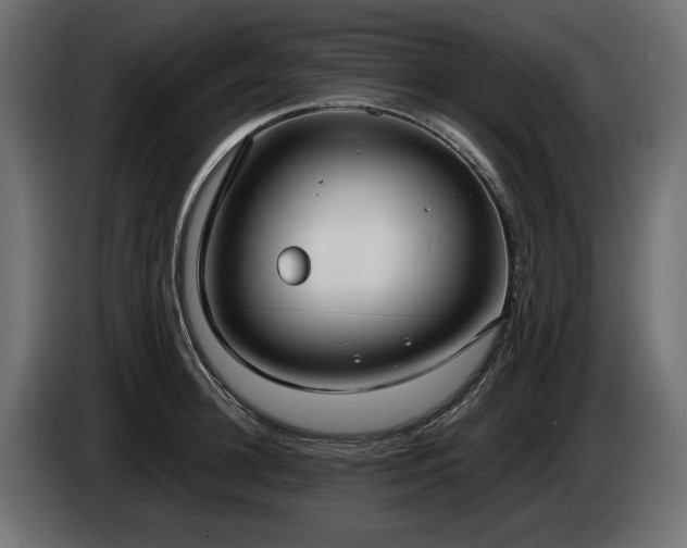 X0000085040948200703051348