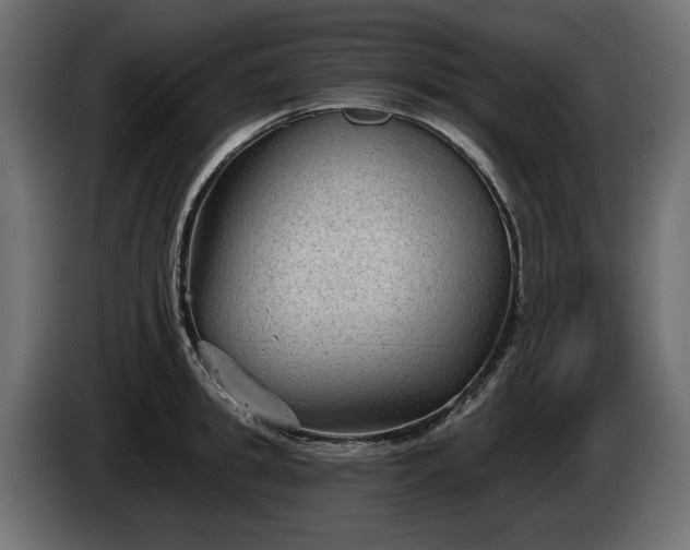 X0000085040949200703051348