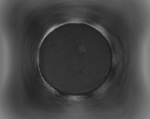 X0000085040950200703051348