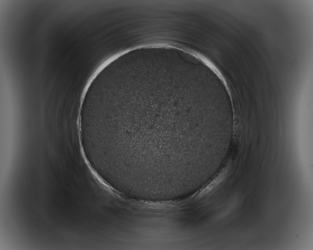 X0000085040951200703051348