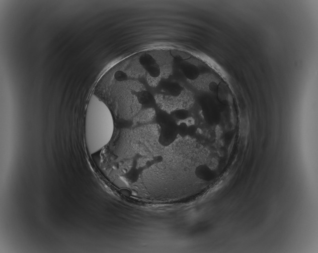 X0000085040953200703051348