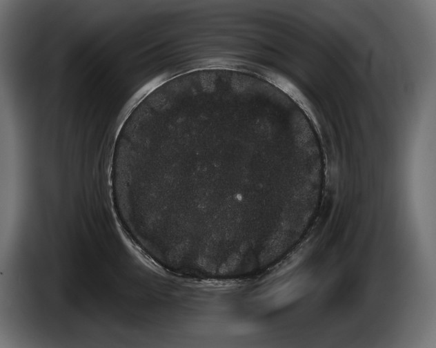 X0000085040954200703051348