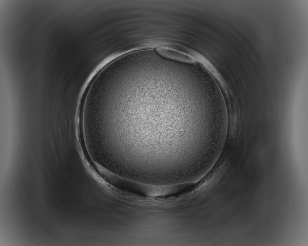 X0000085040955200703051348