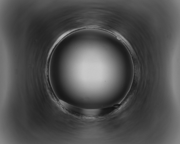 X0000085040956200703051348