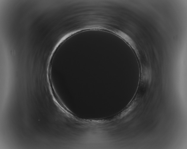 X0000085040958200703051348