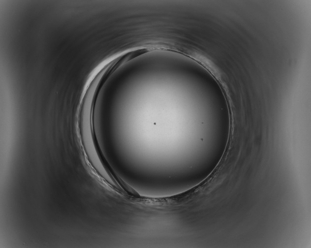 X0000085040960200703051348